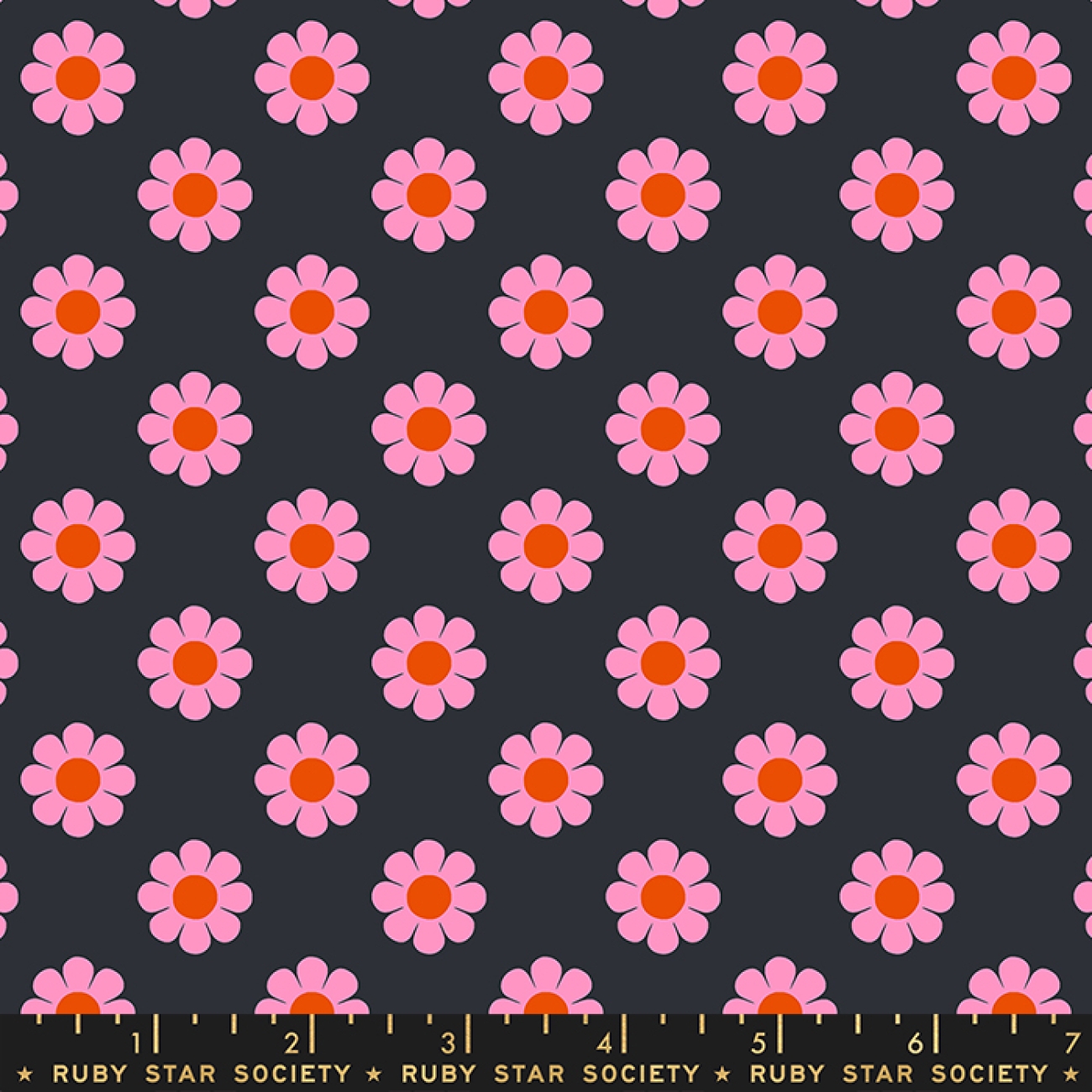 Baumwolle Patchwork -  Alexia Abegg - Ruby Star Society - Meadow Star - Soft Black Honey Pie